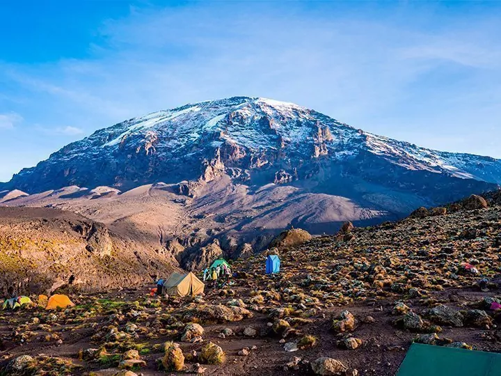 Machame-ruten & safari i 2 nasjonalparker