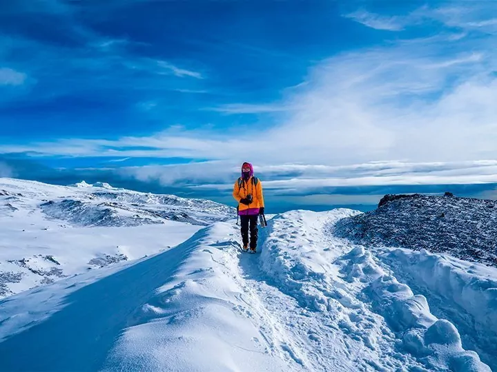 Machame-ruten, safari & badeferie på Zanzibar