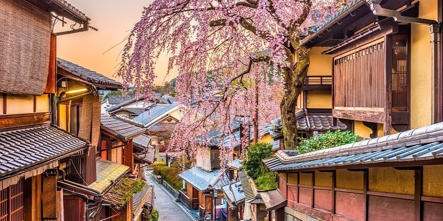 Kirsebærblomst i Higashiyama-distriktet i Kyoto