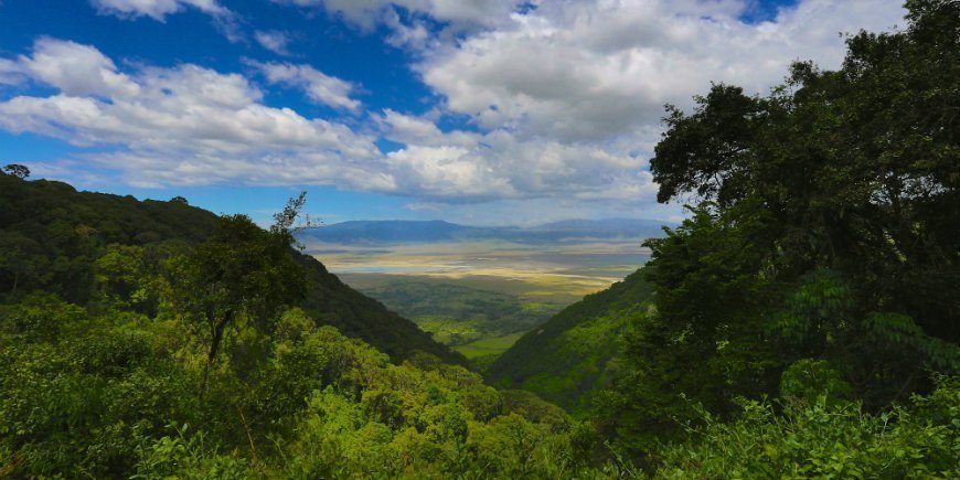 Ngorongoro