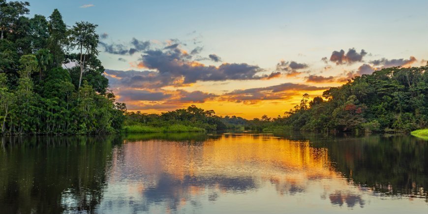 amazonas