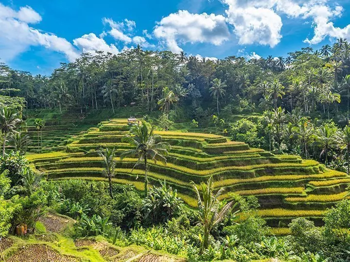 Balis høydepunkter & badeferie i Sanur