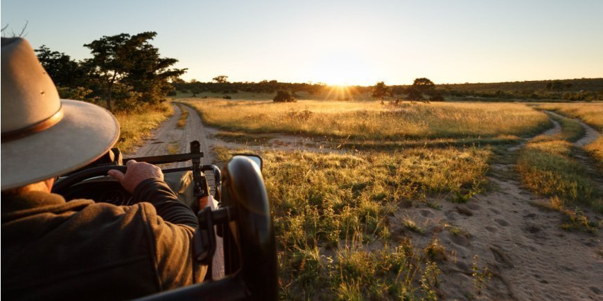 Safari i Sabi Sands viltreservat