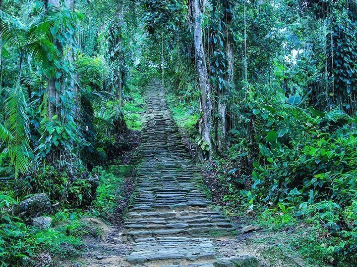 Lost City-vandring, Colombia