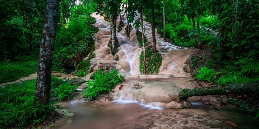 Bua Tong Sticky-fossen i Chiang Mai, Thailand