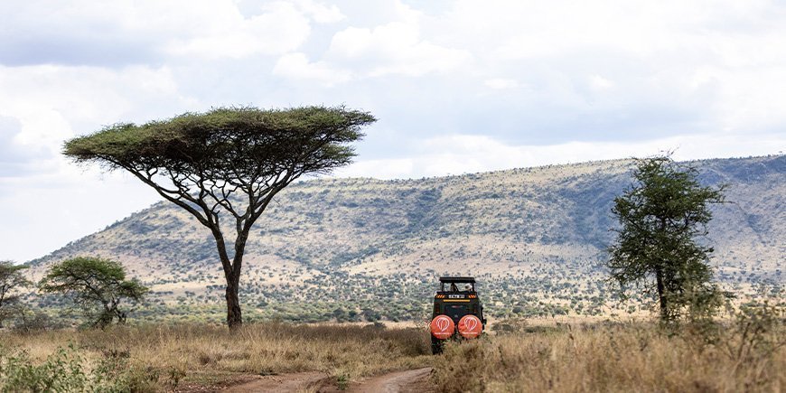 Safari-jeep-kjøring i landskapet i Tanzania