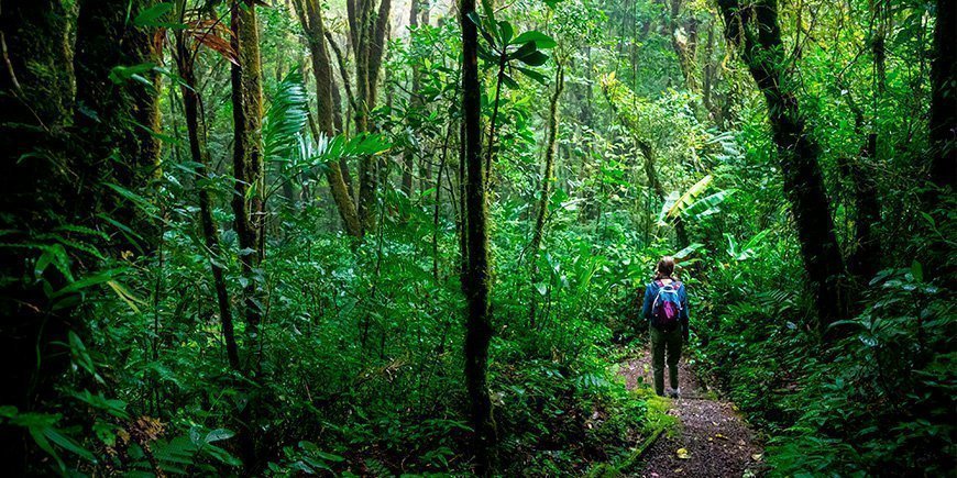 Jente på tur gjennom Monteverde Cloud Forest i Costa Rica