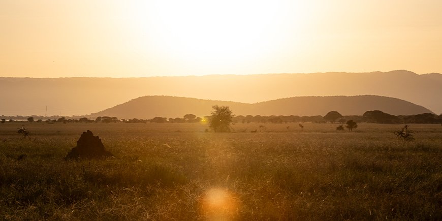 Solnedgang i Tarangire nasjonalpark i Tanzania