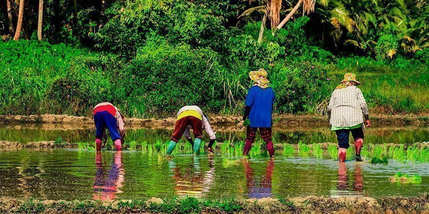 Lokale bønder på Koh Yao Yai