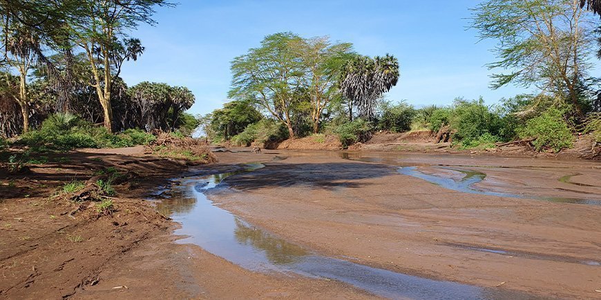 Tsavo vest i mars