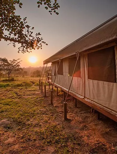 Nkambeni Tented Camp, Sør-Afrika