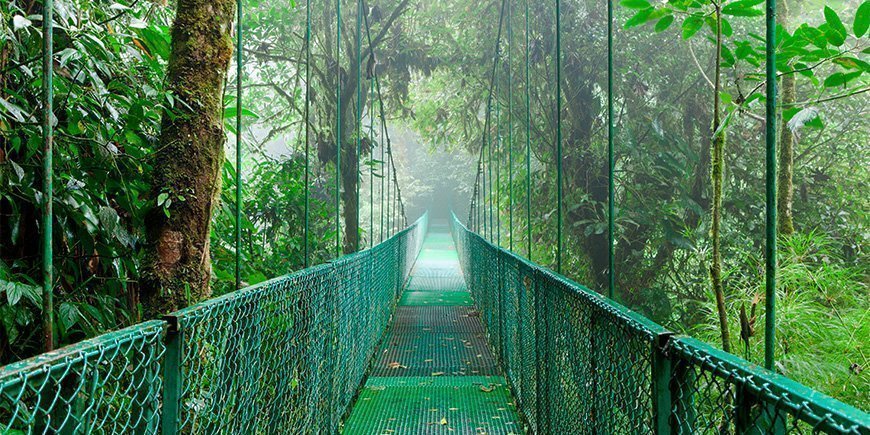 Tåke omgir hengebro i Monteverde, Costa Rica