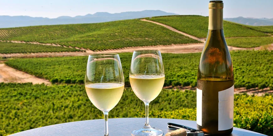 To glass vin med utsikt over Napa Valley