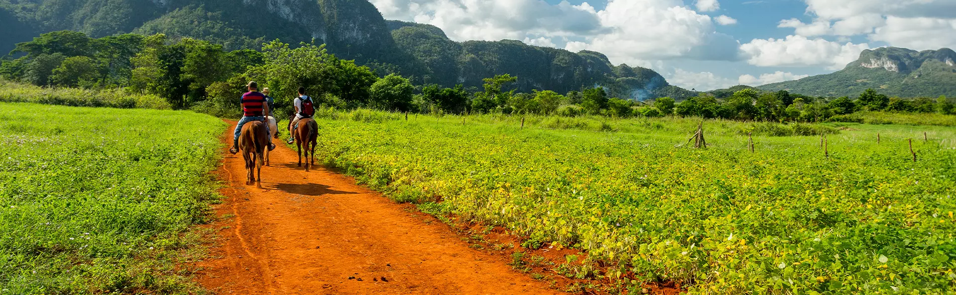 Riding i Vinales, Cuba