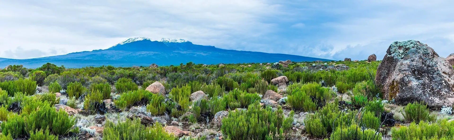 Utsikt fra Lemosho-ruten til Kilimanjaro