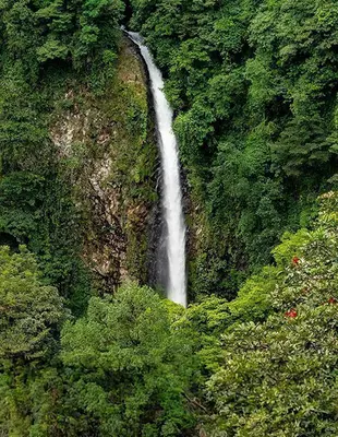 Utsikt over La Fortuna-fossen, Costa Rica