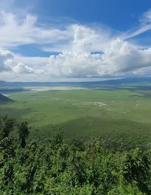 Utsikt over Ngorongoro-krateret i Tanzania
